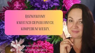 Rozmawiamy o kwiatach ciepłolubnych. Co to są kwiaty ciepłolubne. Kiedy początek siania. Dużo wiedzy