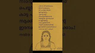 let's fall in love NANDHITHAYUDE KAVITHAKAL #shorts #poems #malayalam #writing #whatsappstatus