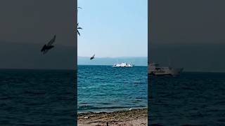 ship crossing the sea #wavesounds #naturesounds #seaview