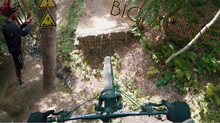 BIG AIRLINE - Bikepark Les Gets | Wir fahren schwarze Lines BLIND! | Day 4 | Lane 6 Riders