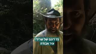 צונם - עיר אבודה בלב הג'ונגל. לסרט המלא כנסו לערוץ היוטיוב