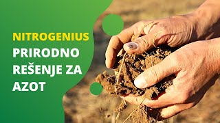 NITROGENIUS - Potpuno PRIRODNO Rešenje za Dobijanje Azota u Ishrani Biljaka