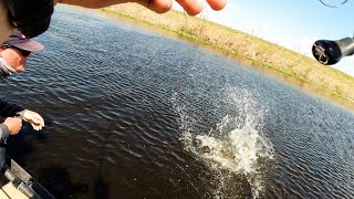 Fishing Alligator Infested Waters and Caught My Biggest of the Year