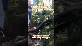 Keluarga Petualang, Dulu dan Sekarang #pendakian #gunung #hutan