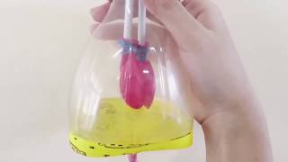 How to make lungs model (bottled balloons) using ordinary materials