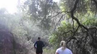 15k Topanga Turkey Trot Trail Run with Coach Steve