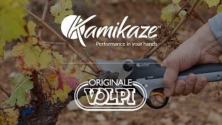 Kamikaze-Volpi KV600 | Viña | Vineyard