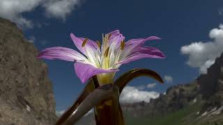 HAKKARİ BELGESELİ