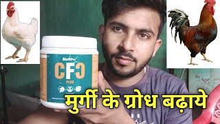 मुर्गी के ग्रोध कैसे बढ़ाएं // how to increase poultry grodh