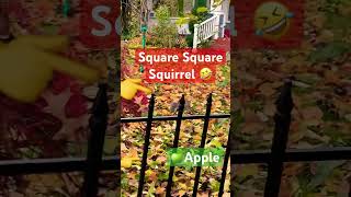 Squirrel & APPLE