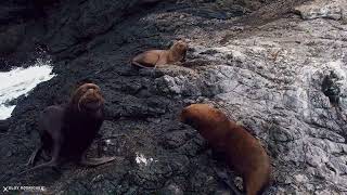 Isla Salango Ecuador