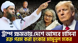 গোপন তথ্য ফাঁস এবার সকলকে চমকে দিলেন আল্লামা মামুনুল হক। allama mamunul haque=11/11/24 #ep24