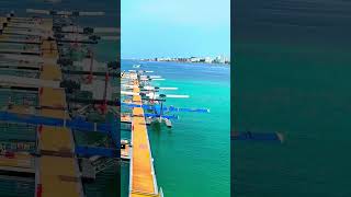 Seaplane Transfer in the Maldives #shorts #maldives