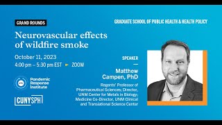 Neurovascular effects of wildfire smoke