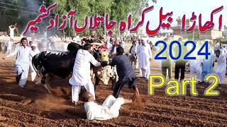 Akhara Krah jatlan Azad Kashmir Part Two  2024 .  اکھاڑا کراہ جاتلاں آزاد کشمیر