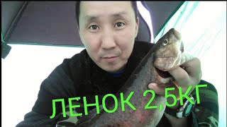 Ловля ленка зимой в Якутии! Поимка трофея 2,5кг! Получится ли поймать? Подводная съемка! ЭКСКЛЮЗИВ!