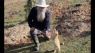 Fall and Winter Sowing of native wildflowers and trees.