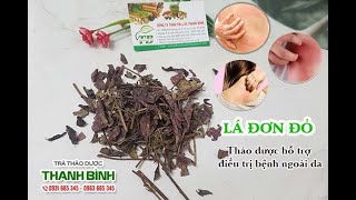 Lá Đơn Đỏ | Công dụng của lá đơn đỏ