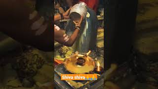 OM NAMASHIVAYA.ABISHEKAM TO SHIVA LINGAM #omnamahshivaya #mahashivratri2023 #shiva  #youtubeshorts