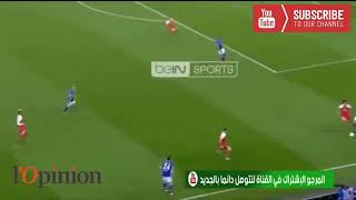 مهارات أمين حاريث في الدوري الألماني الممتاز