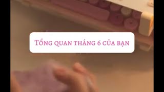 Tổng quan tháng 6 của bạn