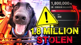 She SCAMMED The Internet With Her Dead Dog: The Story Of Toi-Kun