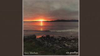 Amy Meehan - Say Goodbye