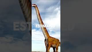 patagotitan | full video👆🏻