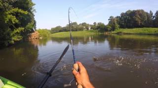 Fishing for Largemouth Bass with the Daiwa RG Spinning Reel