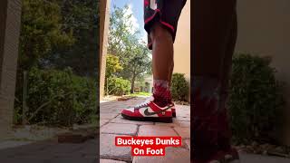 #nikedunk #buckeyenation