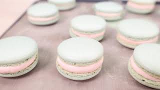 Swiss Meringue Buttercream & Macarons with Cake Cream