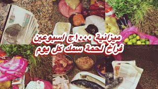 ميزانية ١٠٠٠ج عملي بالمشتريات 👌💯لحوم اسبوعين وخضار وفاكهة وفطار وخزين