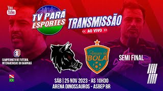 📽📺 AO VIVO - PORK´S FC  X  AMIGOS DA BOLA