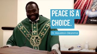 Peace is a Choice | 15th Sunday in Ordinary Time (Fr. Houston's Homily) #sundayhomily