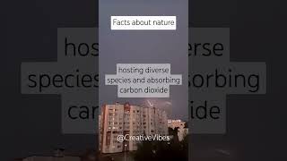 Facts about nature #shorts #fact #shortvideo