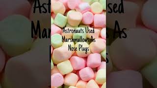 "Marshmallow Nose Plug!?"🤔🤔 #knowledge #shorts #creator #funfacts