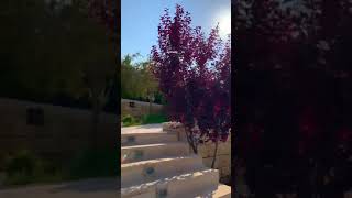 متحف محمود درويش حديقه البروه جوله رائعه  Mahmoud Darwish Museum Alboroh garden