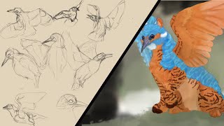 Mizuki Griffin form design (draft) + Kingfisher sketches - Weekly Art/Animation Challenge (Week 2)