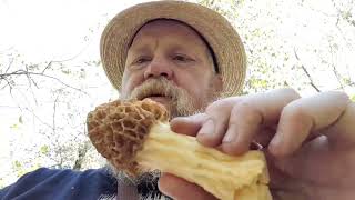 morels and life