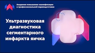 Обучение по УЗИ. Ультразвуковая диагностика сегментарного инфаркта яичка