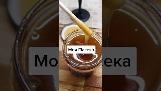 Моя облачная пасека