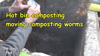 Hot composting bin and new worm bin for seed compost