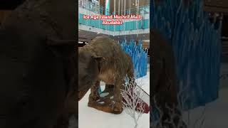 Ice Age Iceland Mushrif Mall. Abudahbi #propertyhub490 #animals #Iceland #uae #abudahbi