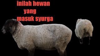 hewan yang masuk syurga di hari kiamat