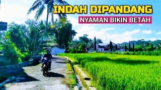 Datang Ke Desa Ini Bikin Hati Berseri Seri (Adem Ayem Tentrem 134)