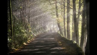 The Plague Village of Eyam told by Let’s Go Peak District