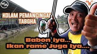 Lomba Mancing Ikan Mas || Kolam Pemancingan Tabgha || Event Ulang Tahun Om JAKMIS dan Om DANIEL