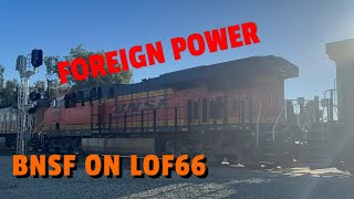 [BNSF LOCO] 7184 leads LOF66-20 past Vineyard train crossing Oxnard 8-20-2023