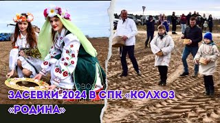 Засевки-2024 в СПК «Колхоз «Родина»