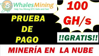 WHALESMINIG: Prueba de PAGO - Mineria en NUBE - 100 GH/S GRATIS #Whalemining #cloudmining